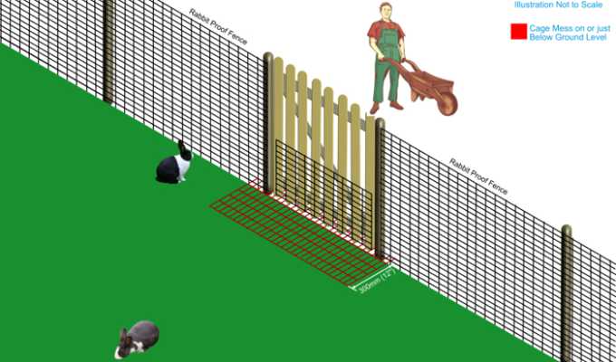 illustration of a rabbit proof gate