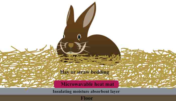 illustration-showing- how-to-make-a-winter-bed-when- keeping-rabbits-outside