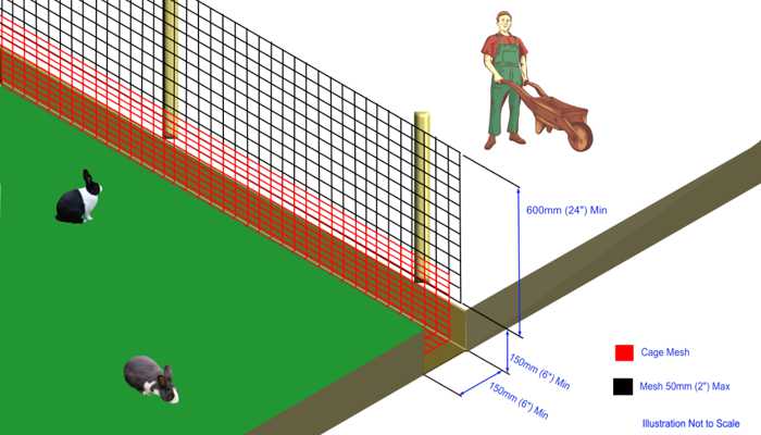 illustration-of-a-rabbit- proofed-wire-mesh-fence