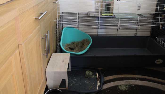 rabbit-corner-with-cage-litter-tray-hay-rack-and-water
