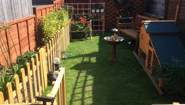 rabbit-proof-garden-now-an- escape- proofed-playground