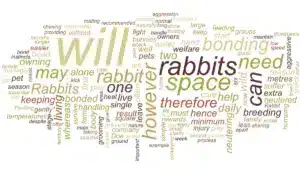 featured-image-owning-a-rabbit-wordmap