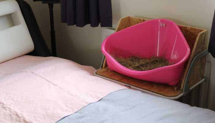 the-dutch--rabbit-toilet-in-its-old-position-in-my-bedroom